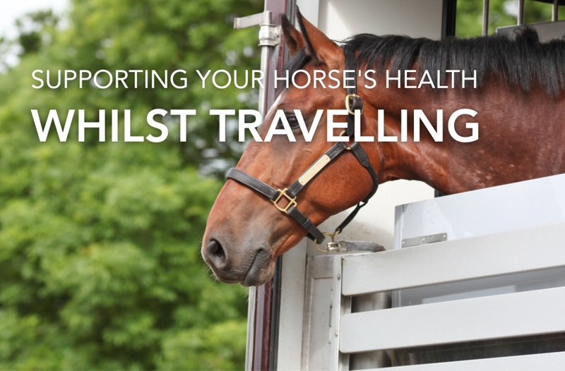 Supporting Your Horse's Health Whilst Travelling | Equine Science Matters™